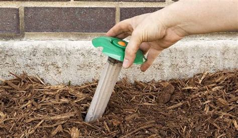 3 Best Termite Bait Stations In 2024 Detailed Reviews