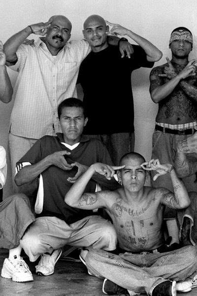 Estilos Mara Salvatrucha Gang Culture 18th Street Gang Ms 13
