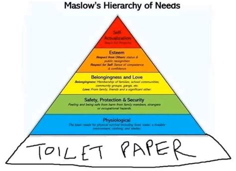Pin By We Are Human On Mememememe In 2020 Maslows Hierarchy Of Needs