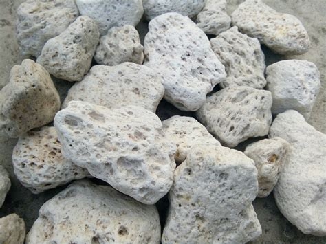 Natural Pumice Stone At Rs 120kilogram प्यूमिस स्टोन प्यूमिक