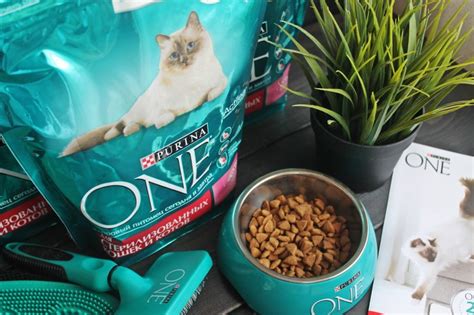 Purina One пурина ван обзор корма для кошек состав отзывы