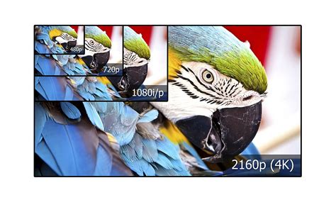 Tv Resolution Explained Uhd 4k Fhd 8k Qhd Vics Guide