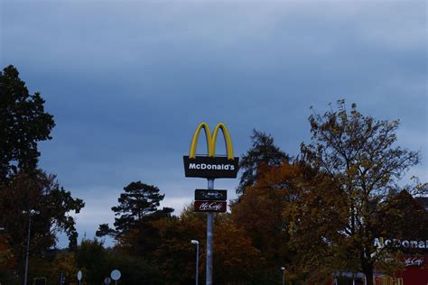 Mcdonalds Celebrates 50 Years Of Big Mac Estimated 11 Million Animals