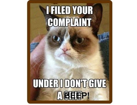 Top 22 Grumpy Cat Memes People In 2020 Grumpy Cat Humor Funny Grumpy