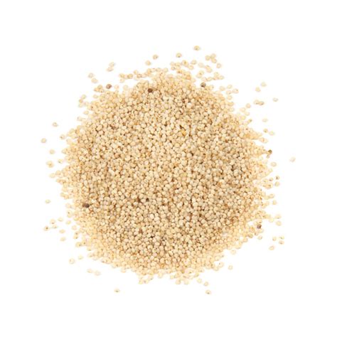 Poppy Seed Khas Khas Is An Oil Seed Obtained From The Poppy
