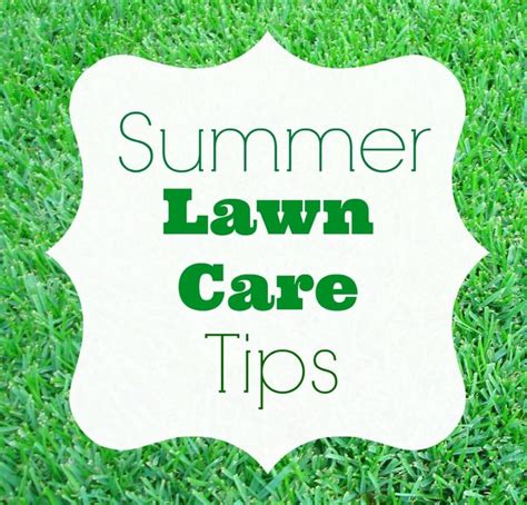 17 Best Images About Well Groomed Lawns And Lawn Care Tips
