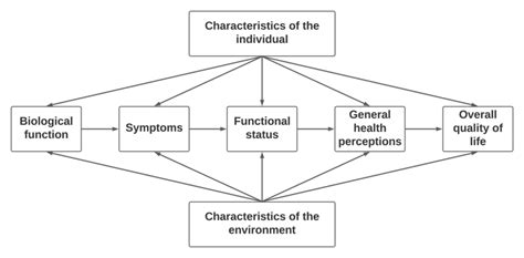 Wilson And Cleary Health Related Quality Of Life Model 1995