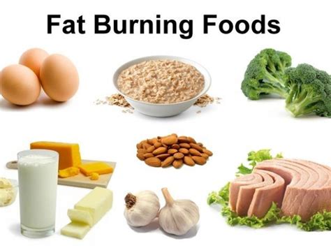 Best Diet For Fat Loss And Muscle Gain Dragonposts
