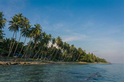 Premium Photo Namalatu Beach In Latuhalat Ambon Maluku With Palm