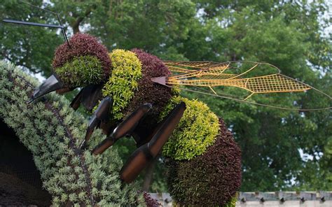 Incredible Plant Sculptures At The Montreal Botanical Garden Montreal
