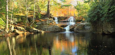 Free Images Tree Nature Forest Waterfall Creek Wilderness