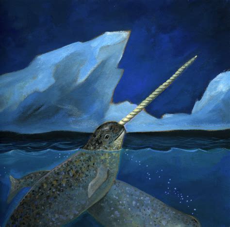 Laura Bour Illustrations naturaliste: Le Narval, la licorne des mers
