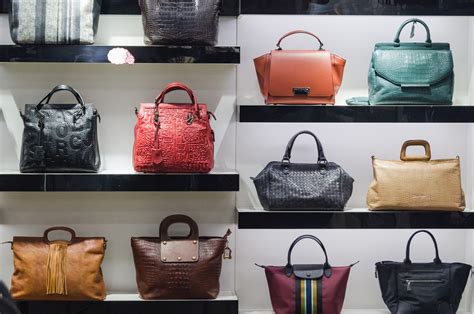 Top 5 Luxury Purse Brands Like Literacy Ontario Central South