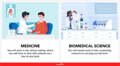 medicine vs biomedical science what s the difference