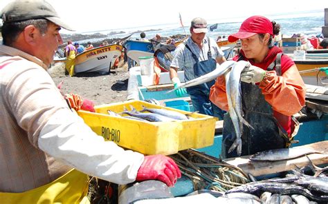 Mujeres En La Pesca Por Osciel Velásquez Presidente De Sonapesca