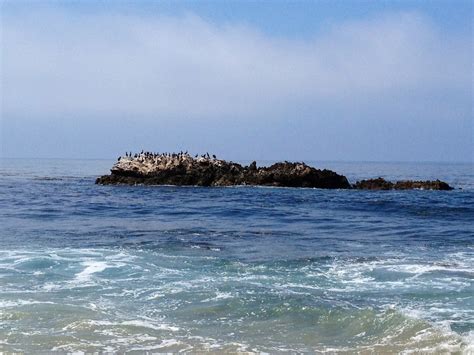 Bird Rock Off Laguna Beach California Through My Lens