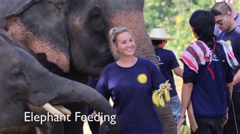Eddy Elephant Bareback Riding Chiang Mai Best Elephant Experience In Thailand Youtube