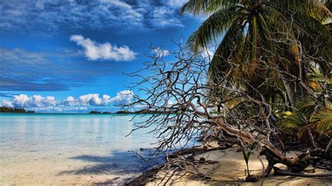 Polynesia French Sea Atoll Palm Trees Beach Lagoon Sand South Pacific Blue Exotic