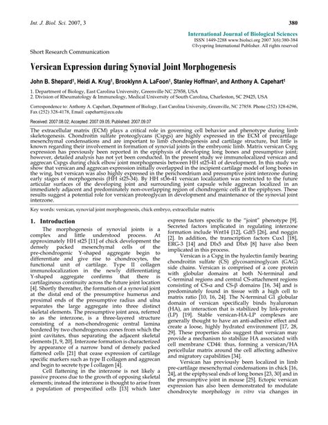 Pdf Versican Expression During Synovial Joint Morphogenesis