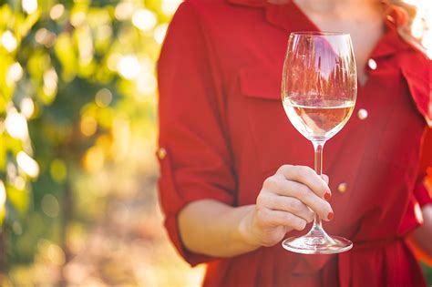 Woman Holding A Glass Of Wine In A Vineyard Free Stock Photo Picjumbo