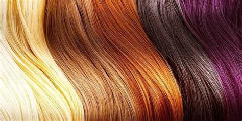 Aplicación De Cosméticos Para Los Cambios De Color Del Cabello Bigar