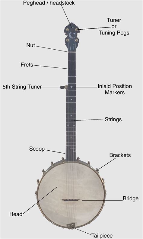 Free Beginner Online Clawhammer Banjo Video Lessons And Tab — The Ozark