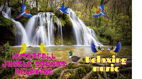 Best Relaxing Music With Waterfall Jungle Sounds Birds Singingموسيقى