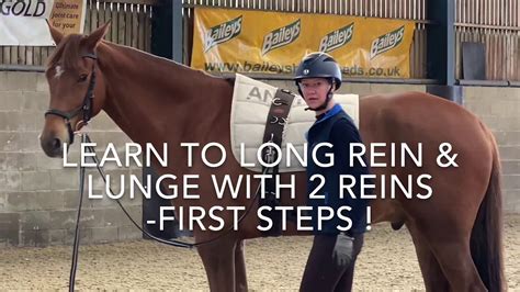 Learning To Lunge With Long Reins First Steps Youtube