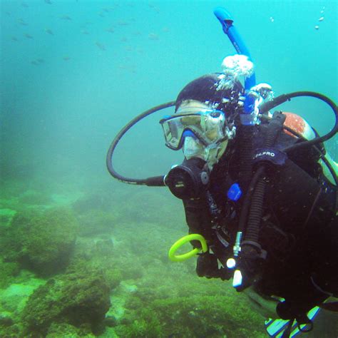 Diving In Papagayo Península Costa Rica Scuba Diving Diving Scuba