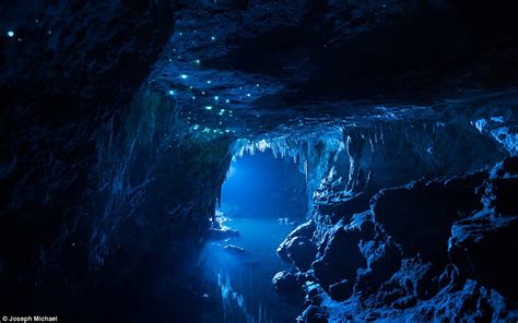 Alien Glow Worm Caves In New Zealand Photos Strange Sounds