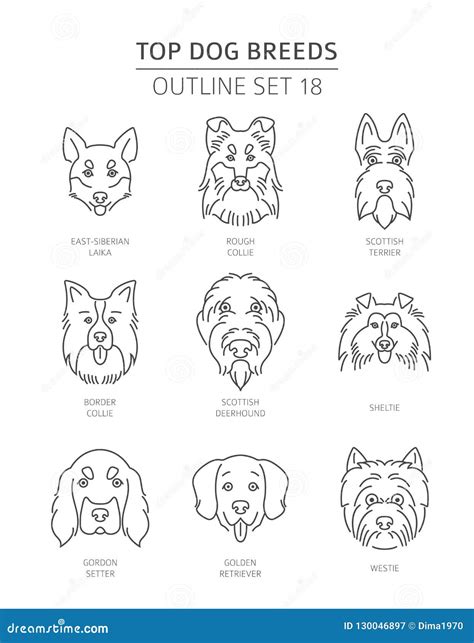 Top Dog Breeds Pet Outline Collection Stock Vector Illustration Of
