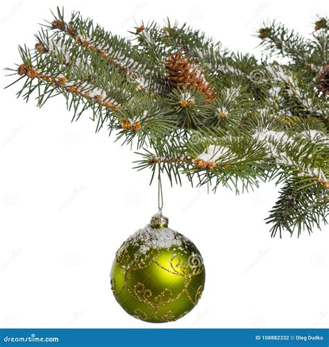 Ornament On A Pine Tree Branch Stock Photo Image Of Vertical