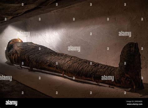 Mummy At The Field Museum In Chicago Stock Photo Alamy