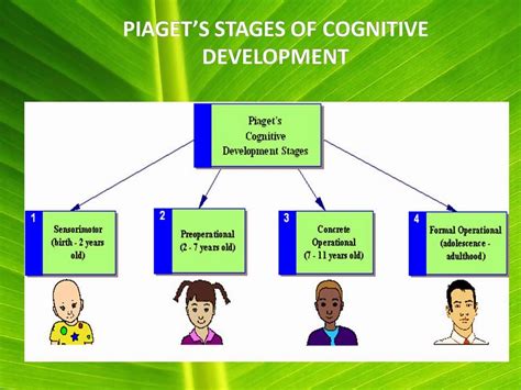 In this stage, children learn and acquire skills and knowledge through formal operational stage (12 years and above): PSYCHOLOGICAL THEORIES: JEAN PIAGET'S THEORY OF COGNITIVE ...
