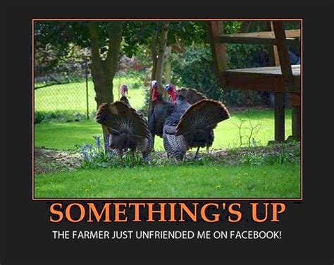 35 Top Funny Thanksgiving Memes Happythanksgiving