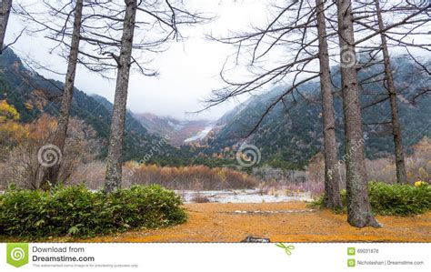 Fall Season Of Kamikochi National Park Japan Stock Photo Image Of
