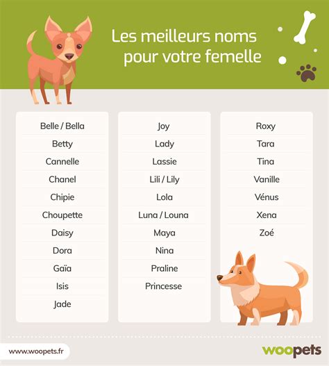 Nom pour animaux - Khenghua