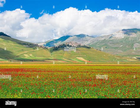 Castelluccio Di Norcia 2018 Umbria Italy The Famous Landscape