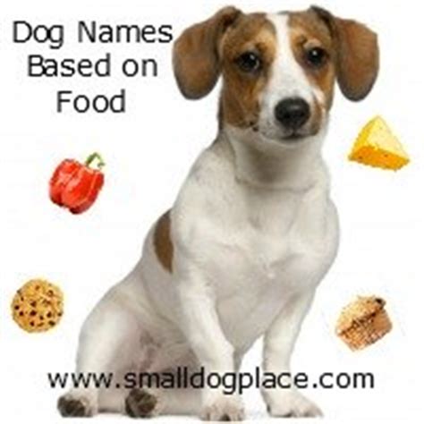 Asian food names for pets. Dog Names Based on Food: Cute and Unusual Pet Names
