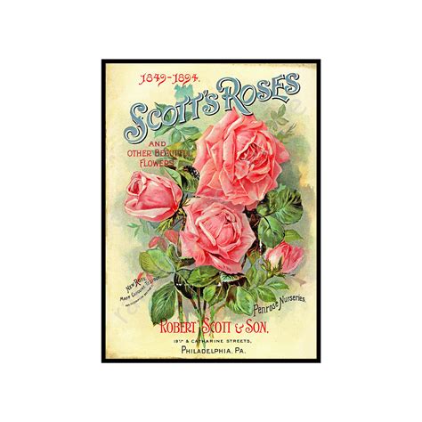 Rose Garden Print 5 X 7 1894 Wall Art Accent Garden Farm Etsy