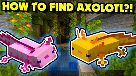 How To Find Axolotl In Minecraft 120 How To Find Lush Caves Java