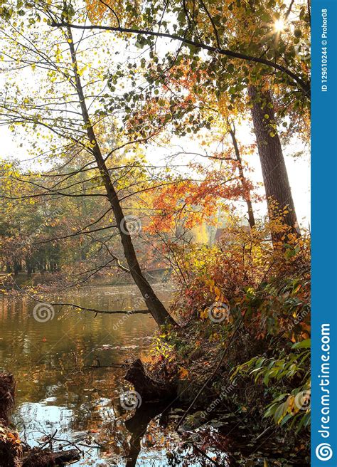 Incredibly Beautiful Autumn Forest Landscape Stock Photo