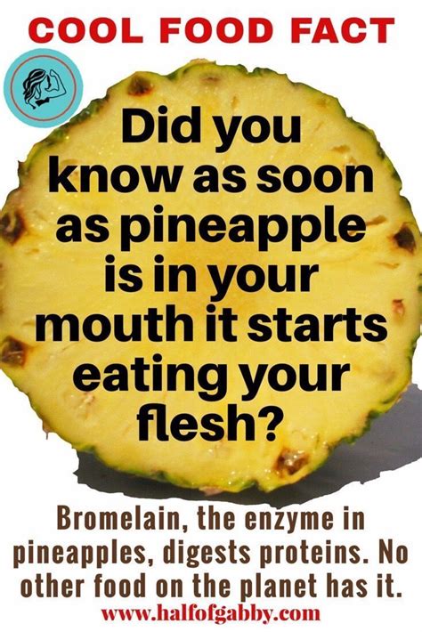 When You Eat Pineapple It Eats You Back Want More Cool Facts Food
