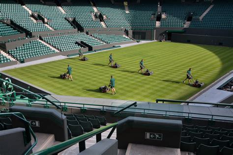 Novak djokovic says the wimbledon courts this year are in the worst condition he has experienced at the championships. File:London - Wimbledon - 3065.jpg - Wikimedia Commons