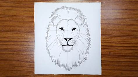 Discover More Than 83 Lion Head Sketch Easy Latest Vn