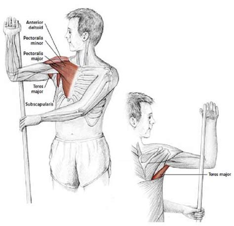 Easy Stretches To Release Tension In The Neck And Shoulders