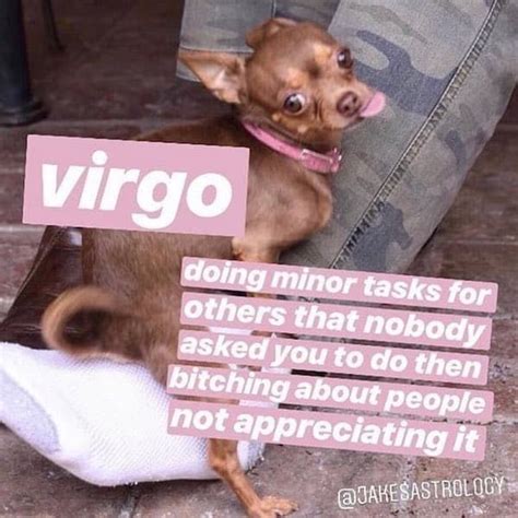 32 Funny And Relatable Virgo Memes That Are Basically Facts Artofit