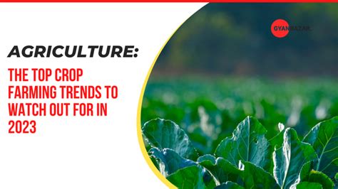 Agriculture The Top Crop Farming Trends To Watch Out For In 2023