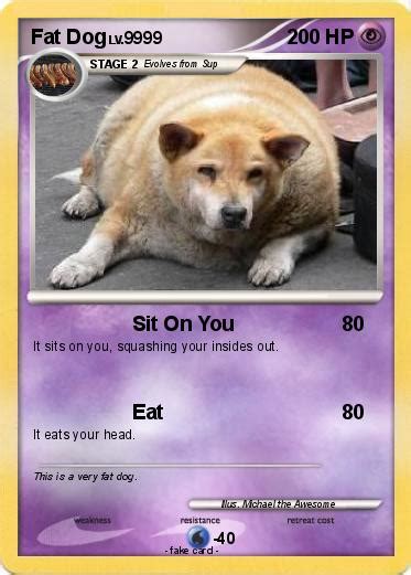 We've been a neighborhood favorite in the north hollywood arts district since 2015. Pokémon Fat Dog 18 18 - Sit On You - My Pokemon Card