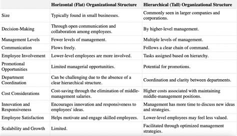 Horizontal Flat Vs Hierarchical Tall Organizational Structure Meaning Difference